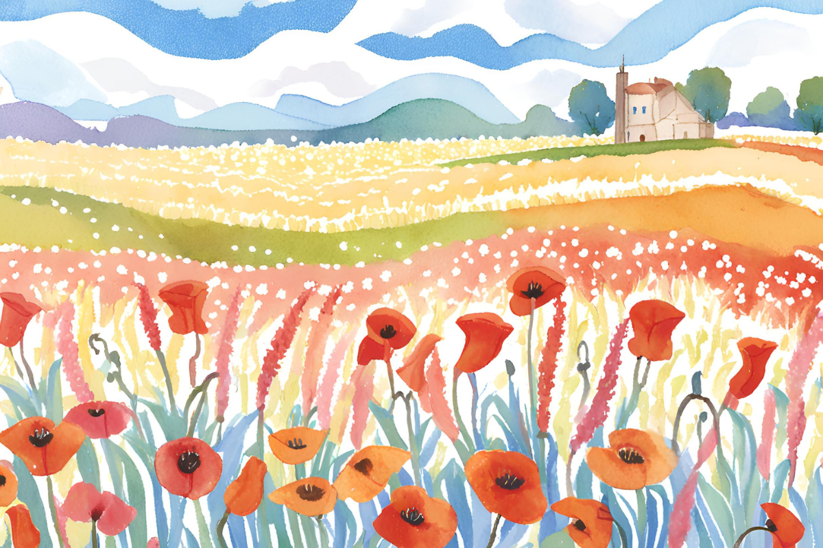 Red poppies, fields full of golden harvest, hot clear sunny weather shown in the graphics signifying the month of August.